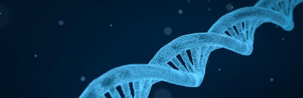 Double Helix